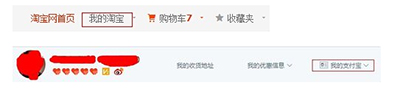 进入支付宝