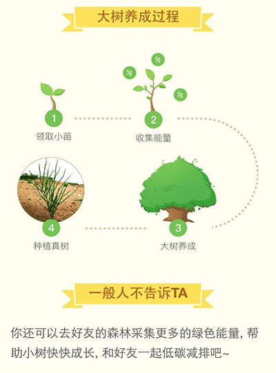 支付宝