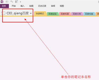 OneNote