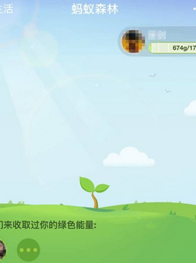 支付宝绿色能量