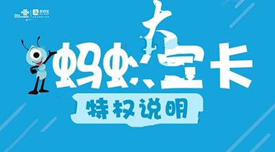 蚂蚁大宝卡