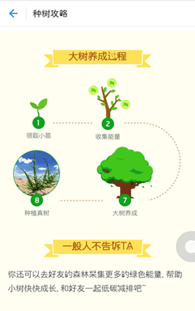 支付宝