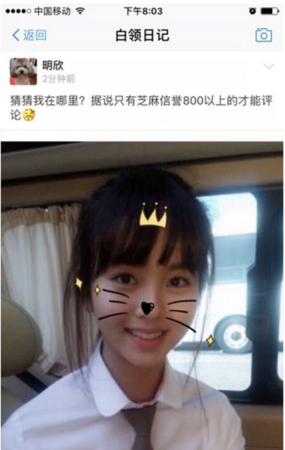 支付宝白领日记