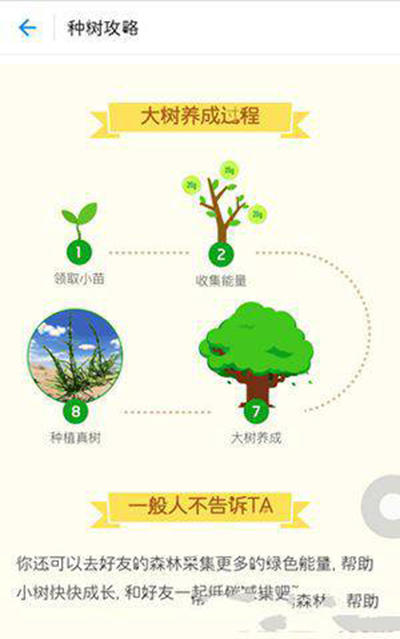 支付宝蚂蚁森林