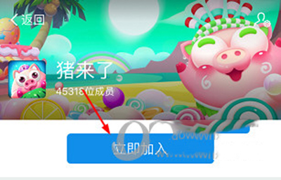 支付宝猪来了