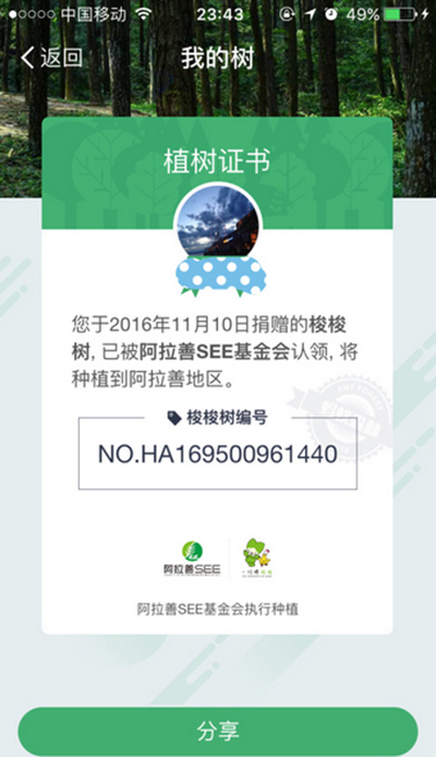 支付宝