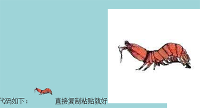 皮皮虾表情包