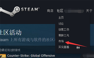 steam steam