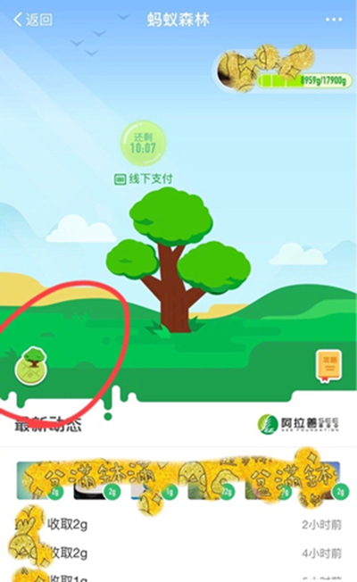 蚂蚁森林