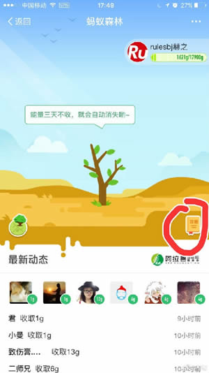 蚂蚁森林钉钉