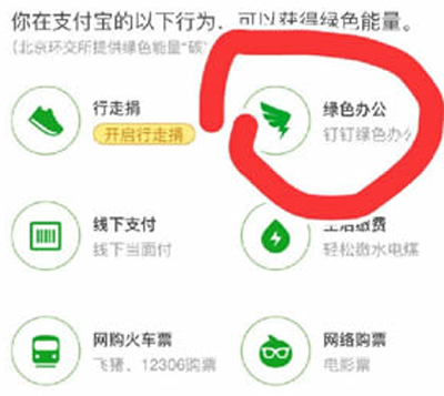 蚂蚁森林钉钉