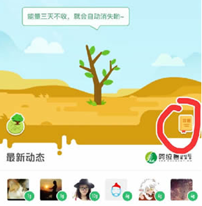 蚂蚁森林钉钉