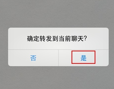 转发当前聊天记录
